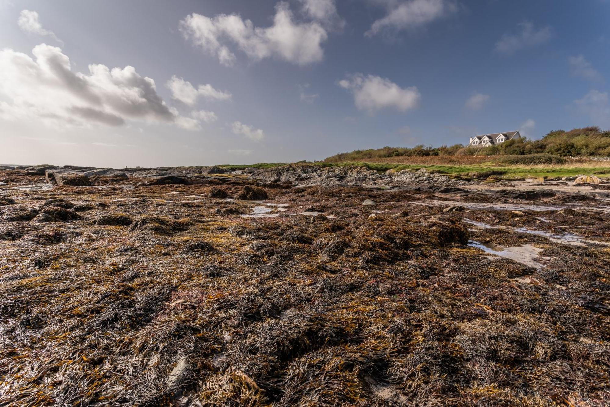 Shorefield, Bruichladdich Екстериор снимка